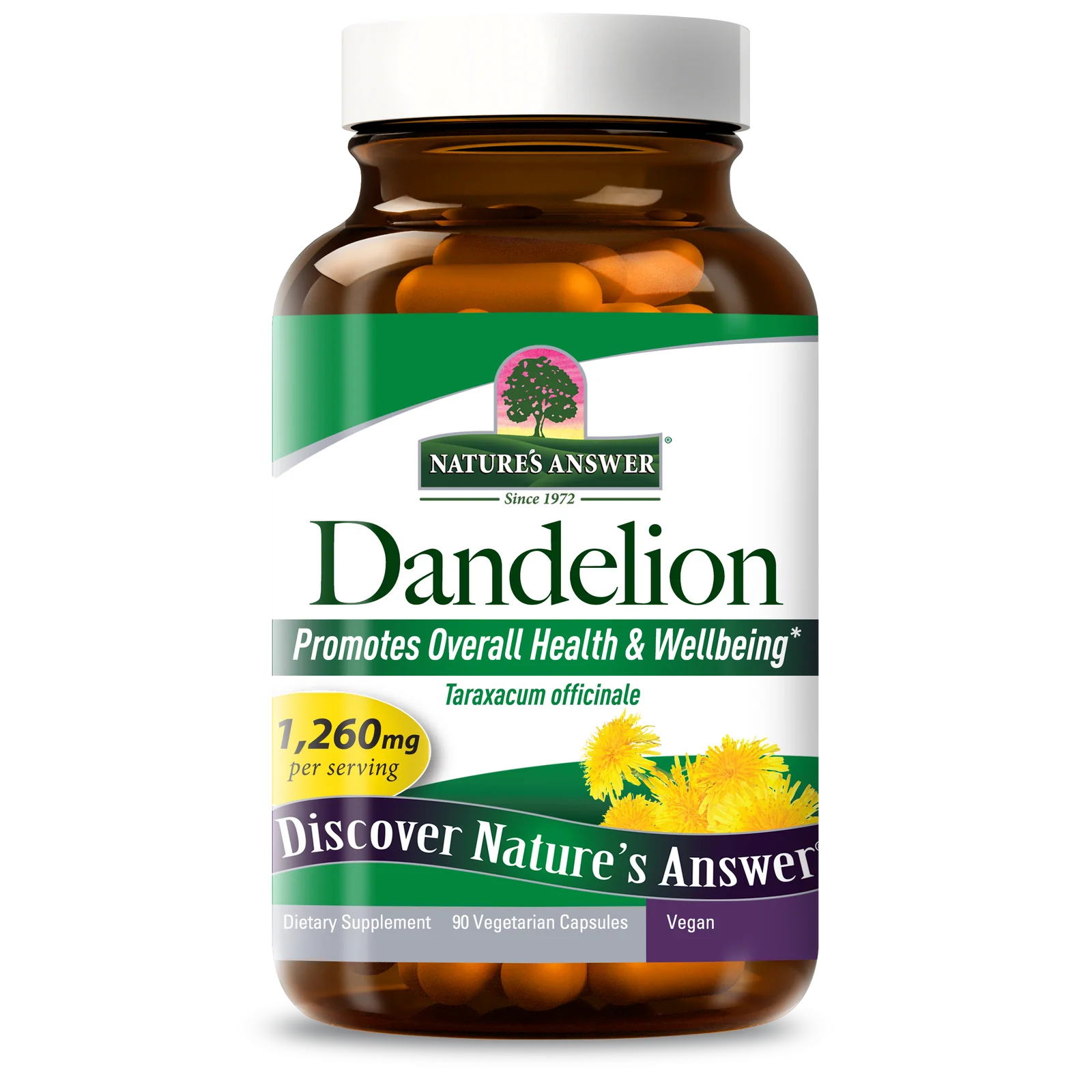 dandelion_png.webp